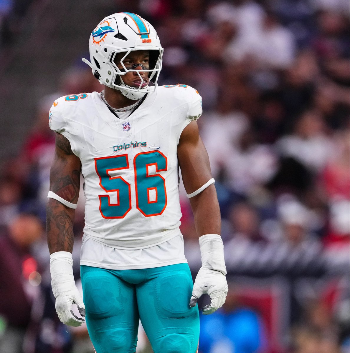 FinsXtra (@finsxtra) on Twitter photo 🚨 Miami Dolphins have elevated LB Quinton Bell and CB Isaiah Johnson to the active roster from the practice squad. (<a href="/MiamiDolphins/">Miami Dolphins</a>) #PhinsUp 🚨 Miami Dolphins have elevated LB Quinton Bell and CB Isaiah Johnson to the active roster from the practice squad. (<a href="/MiamiDolphins/">Miami Dolphins</a>) #PhinsUp