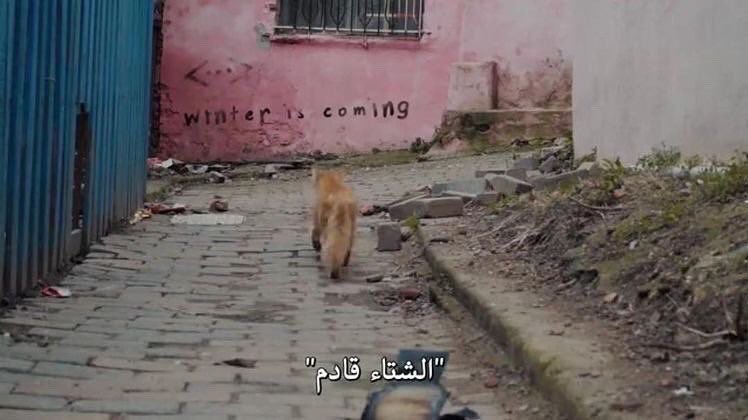 ram_rog's tweet image. #الشتاء_قادم_يارفاق