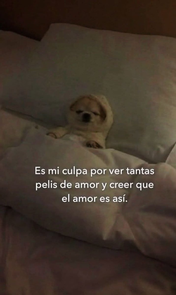 BANDIDOS (@bandidosfrasess) on Twitter photo 