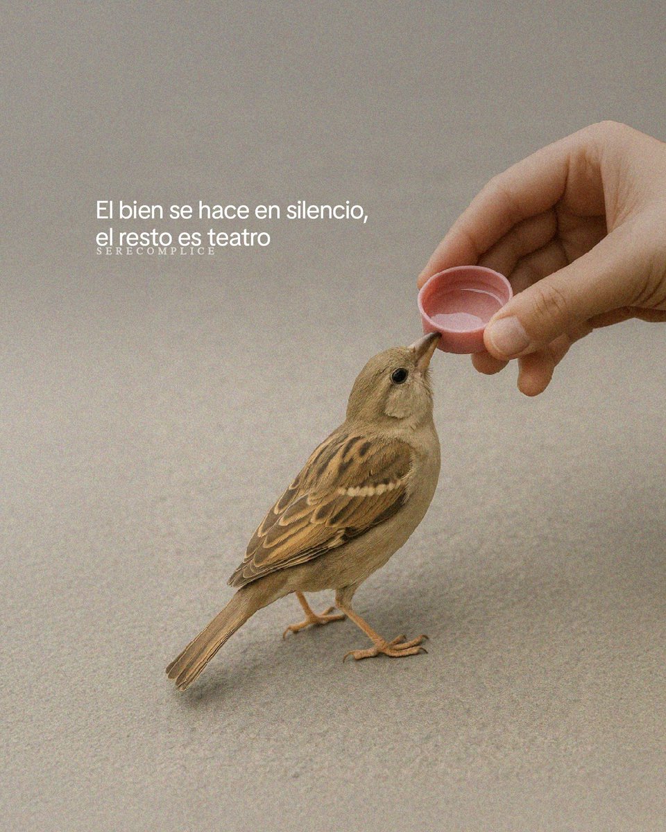 BANDIDOS (@bandidosfrasess) on Twitter photo 