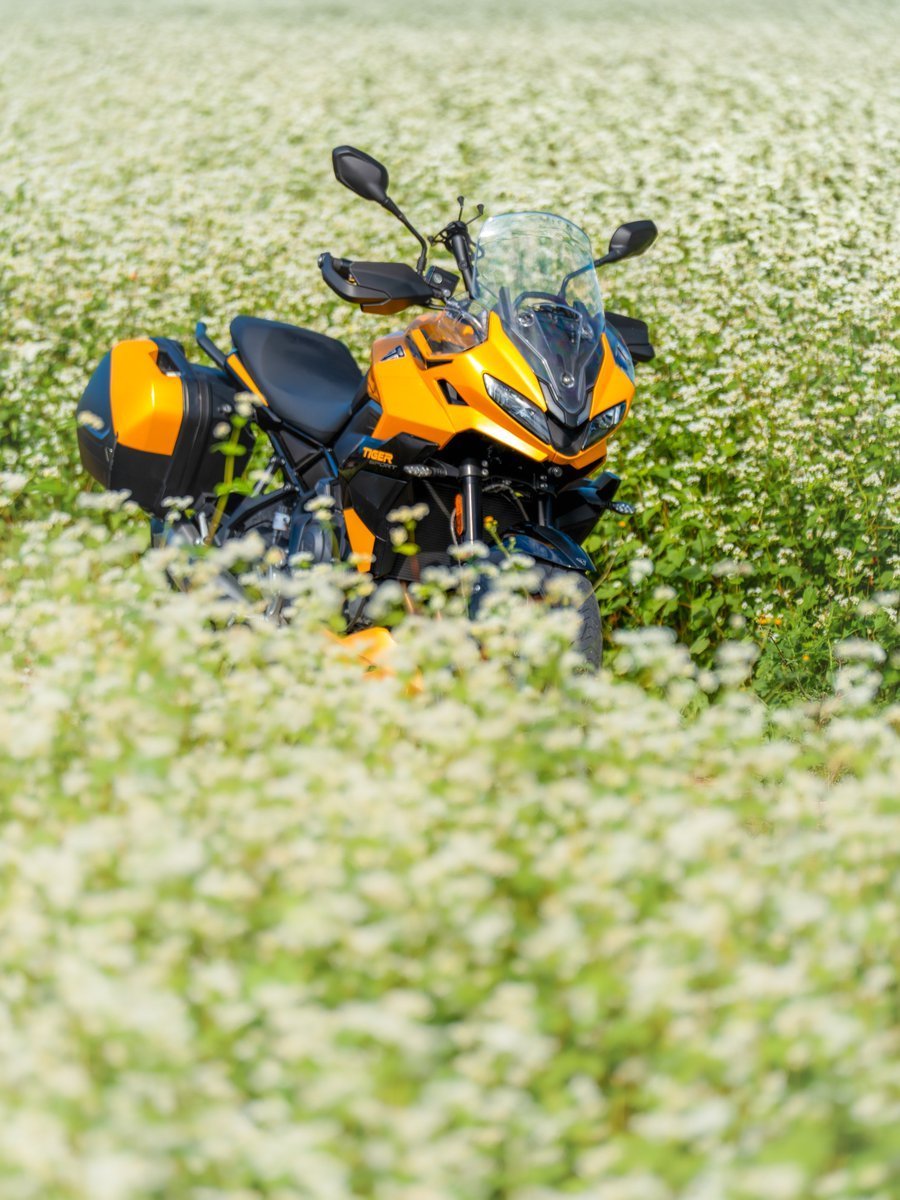 meteo1518's tweet image. #白の世界

快晴だった一昨日の金曜日に
白蕎麦畑で埋もれてきた😁

#バイクのある風景