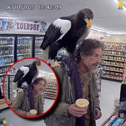 nikola 3 tweet media