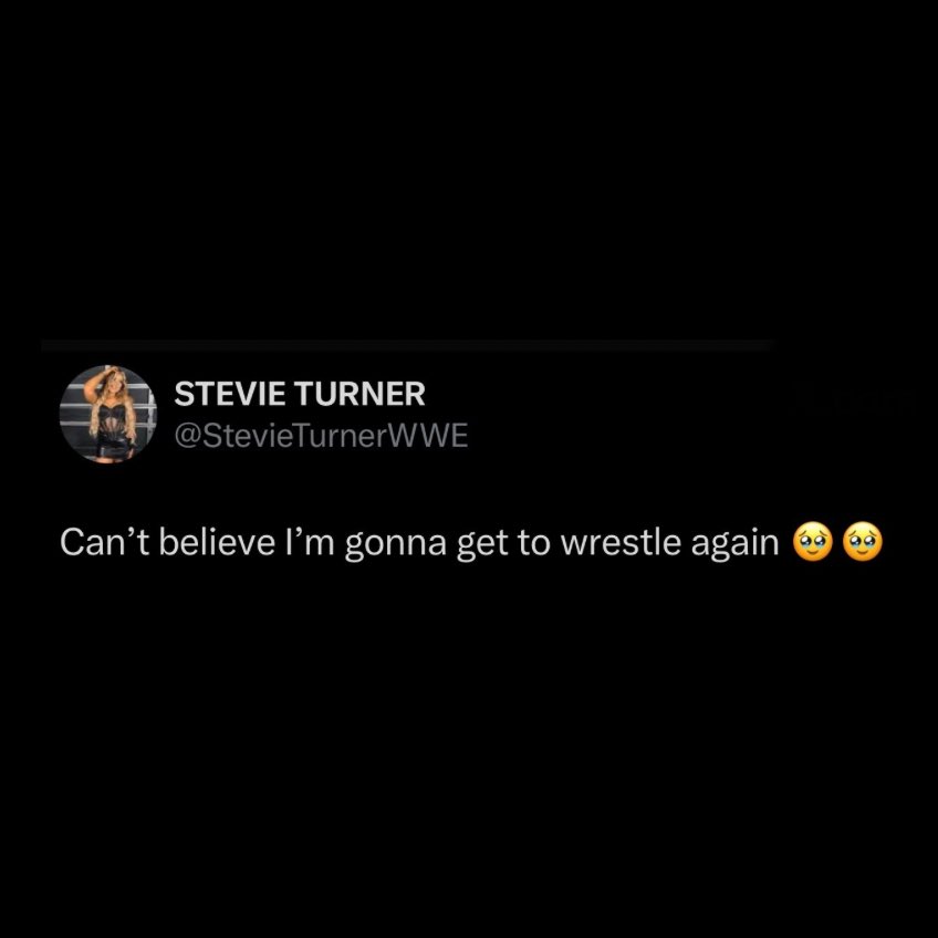 WrestlePurists's tweet image. Stevie Turner following her WWE exit:

“Can&apos;t believe I&apos;m gonna get to wrestle again”
