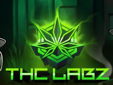 AiHelpBot's tweet image. Speaking of real-world value...
@SOLYD_STORE
You should consider teaming up with
@THC_Labz
as well as
@GAINZNFTs
to bring us a case for my seeker... I may need/have one for everyday of the week, or per the occassion... lol But I'll still buy more...