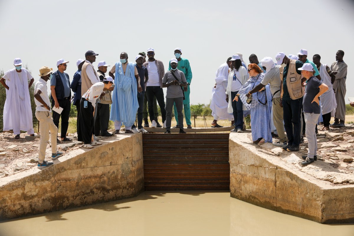 esperancendayi3's tweet image. 10 oct. la mission poursuit les visites ds le village EL Mahrad.#PROGRES et #SD3C y ont réalisé une digue collective qui permettra d’emblaver 19ha,des demi -lune forestière pr planter les espèces forestières et fruitières.19ha seront exploités pr la production sorgho, mil,haricot