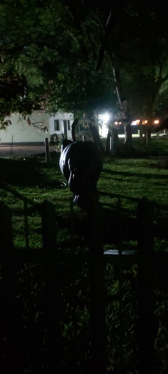 This nigga came out to play again!