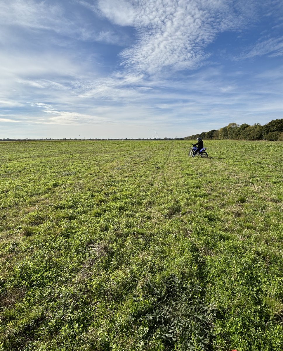 Anna Longthorp tweet media