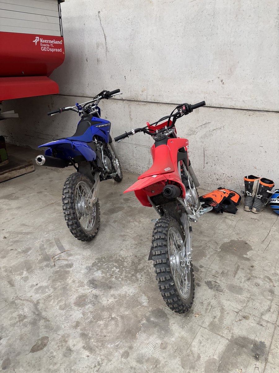 Anna Longthorp tweet media