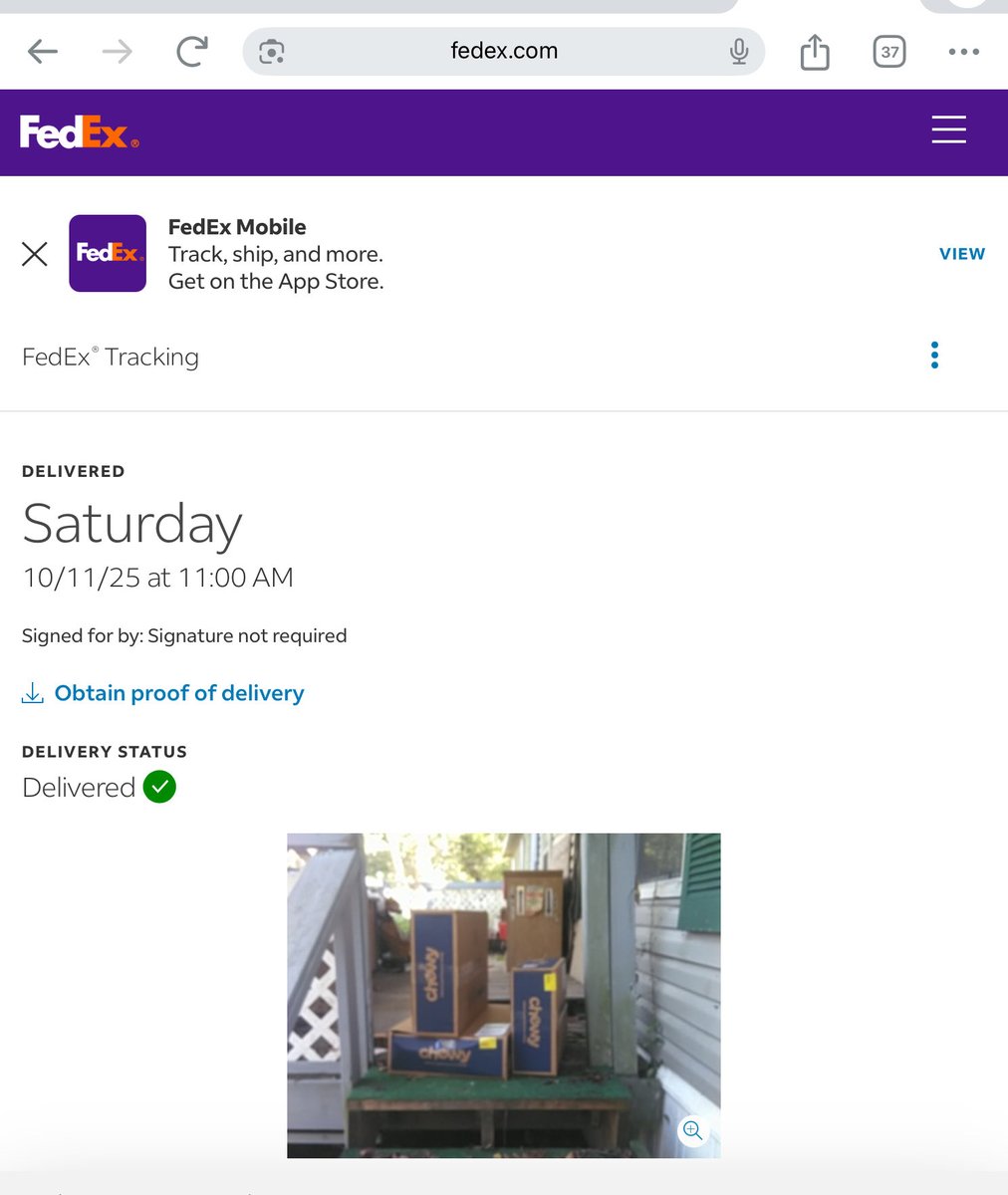 careycat's tweet photo. @Chewy and @FedEx  blocking people with disabilities a 4th time. Chewy and fedex don’t like people who may need to…exit their homes unobstructed. https://t.co/RnjRWm6FPj