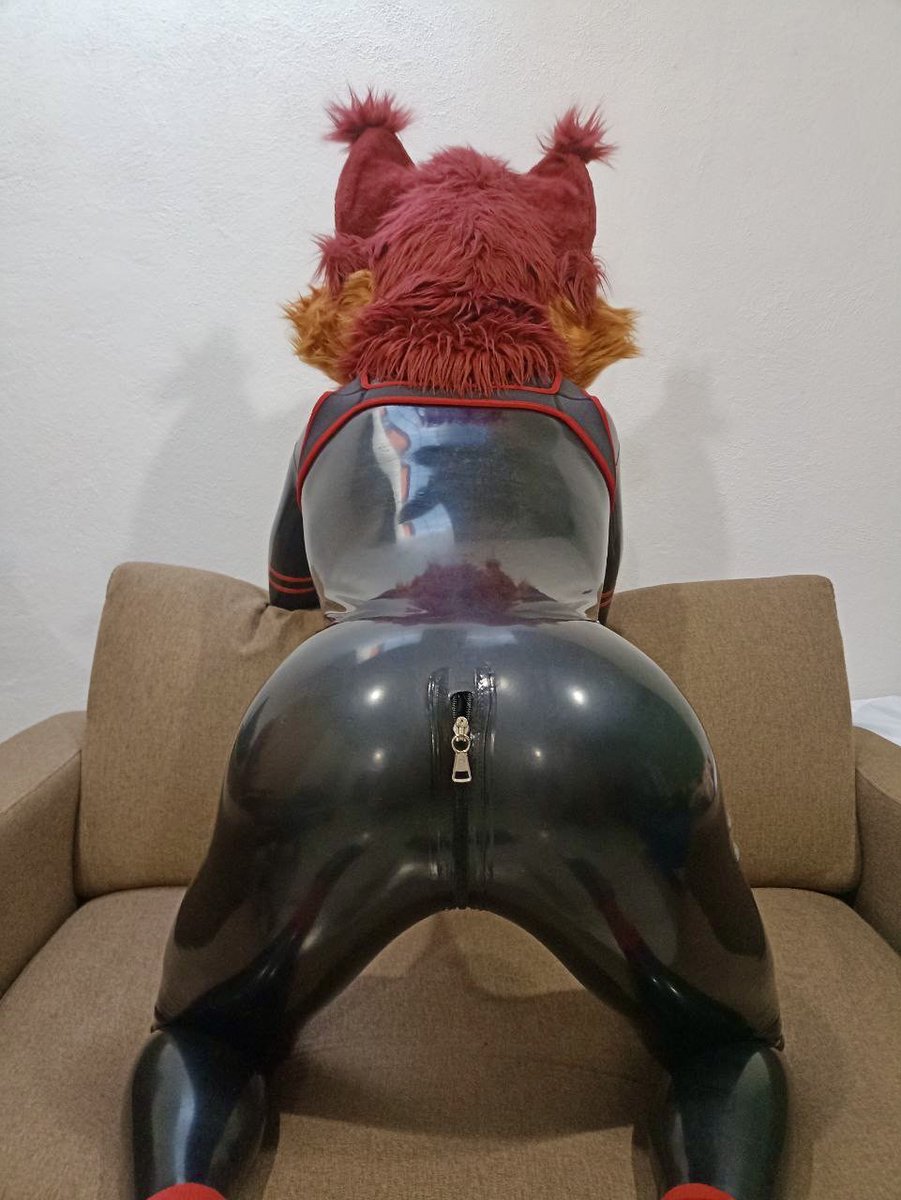 El pandilla tweet media