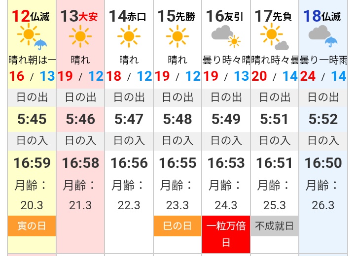 tibi3papa3res9's tweet image. おはようございます

気づけば日の出の時間が
5時45分🌅
すっかり遅くなりましたね～

冬至に向かって
どんどん日の出が遅くなり
日の入りも早くなります🥹

同じ24時間でも
なんだか1日が早く感じるのは
私だけでは無い…はず😳

体も頭も動きも早くなれば
いいのにな～🥺

#朝活
#おは戦71012