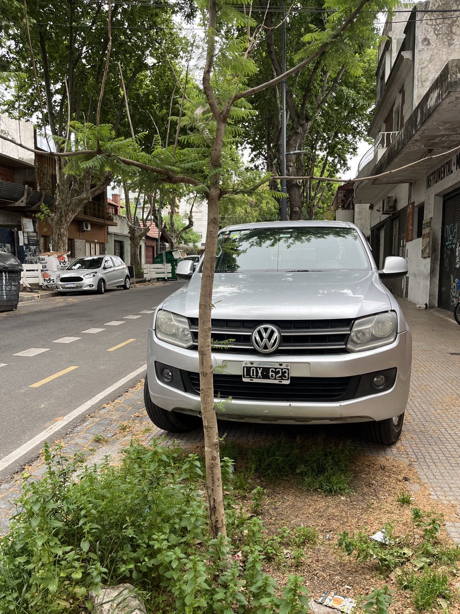 sebamurstein's tweet image. Amaroki silvestre imponiendo sus reglas en Villa Urquiza @BoludoscnAmarok