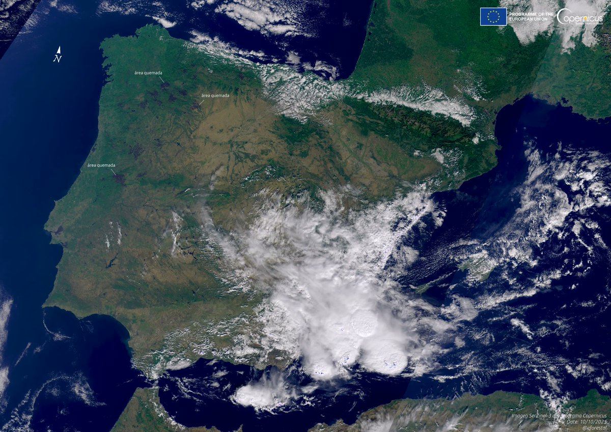 eforestal's tweet image. 🔥Áreas quemadas en península ibérica 

Vistas por 🛰️#Sentinel3 de 🇪🇺@CopernicusEU  10/10/2025