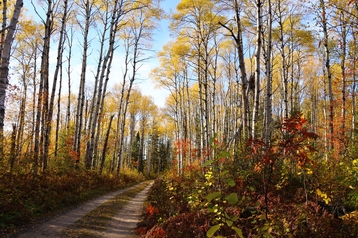 🍂 Here are a few snippets of the last open weekend of the season here at Kettle Lakes!
 
🍂 Just a reminder, we will be closing on October 14! Come out and enjoy the crisp autumn breeze!

#KettleLakesPP #OntarioParksNE #OntarioParks