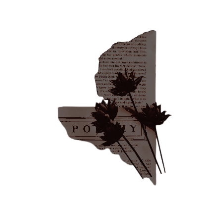 ᅠ ،،̲ᅠ 𓏲𓍢 𝑶𝑯 , 𝙻𝙸𝚃𝚃𝙻𝙴 🕷️𝑽𝑬𝑵𝑶𝑴 𓂂｡ tweet media