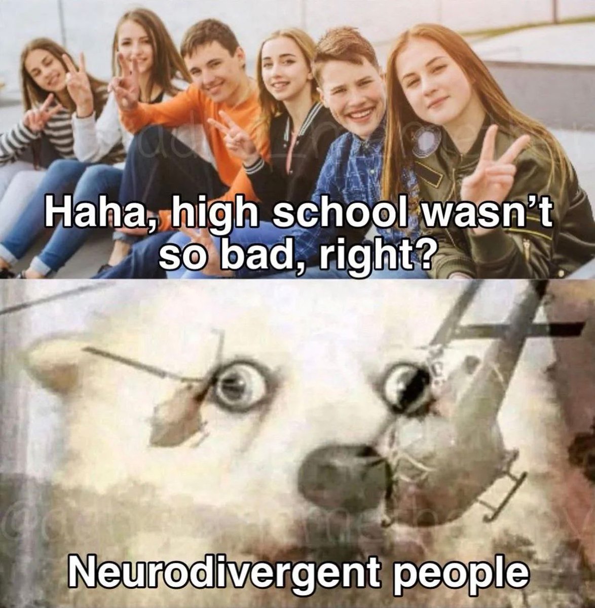 ADHDForReal's tweet image. 