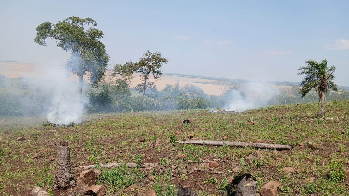 CODI_FTC's tweet photo. OPERACIÓN EXITOSA CONTRA EL NARCOTRÁFICO
EL SAP6 y SENAD destruyen:
- 6 hectáreas de cultivos ilegales
- 15.150 kg de marihuana seca
- 20 kg de semillas
- 7 campamentos precarios
Perjuicio económico: $994.500. Fiscalización: Abog. Celso Morales.
#CODI_FTC #SAP6 #SENAD https://t.co/ACoqcAatwB