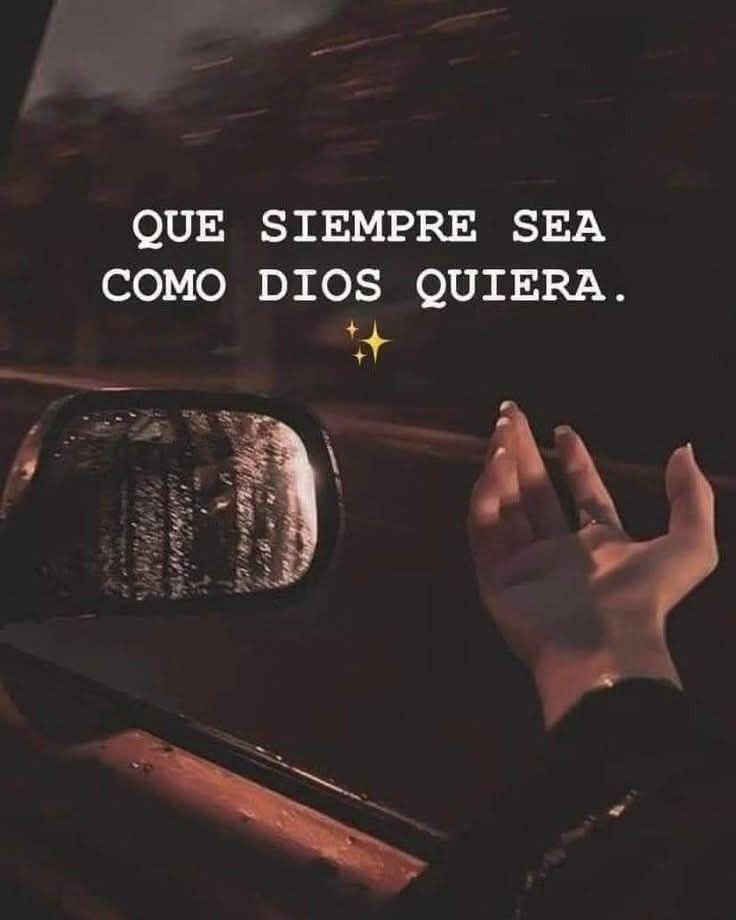 BANDIDOS (@bandidosfrasess) on Twitter photo 