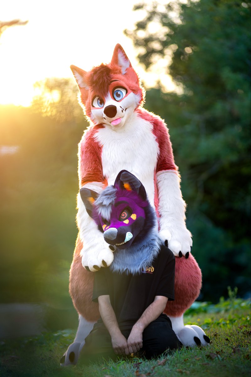 b l a z e 🦮 tweet media