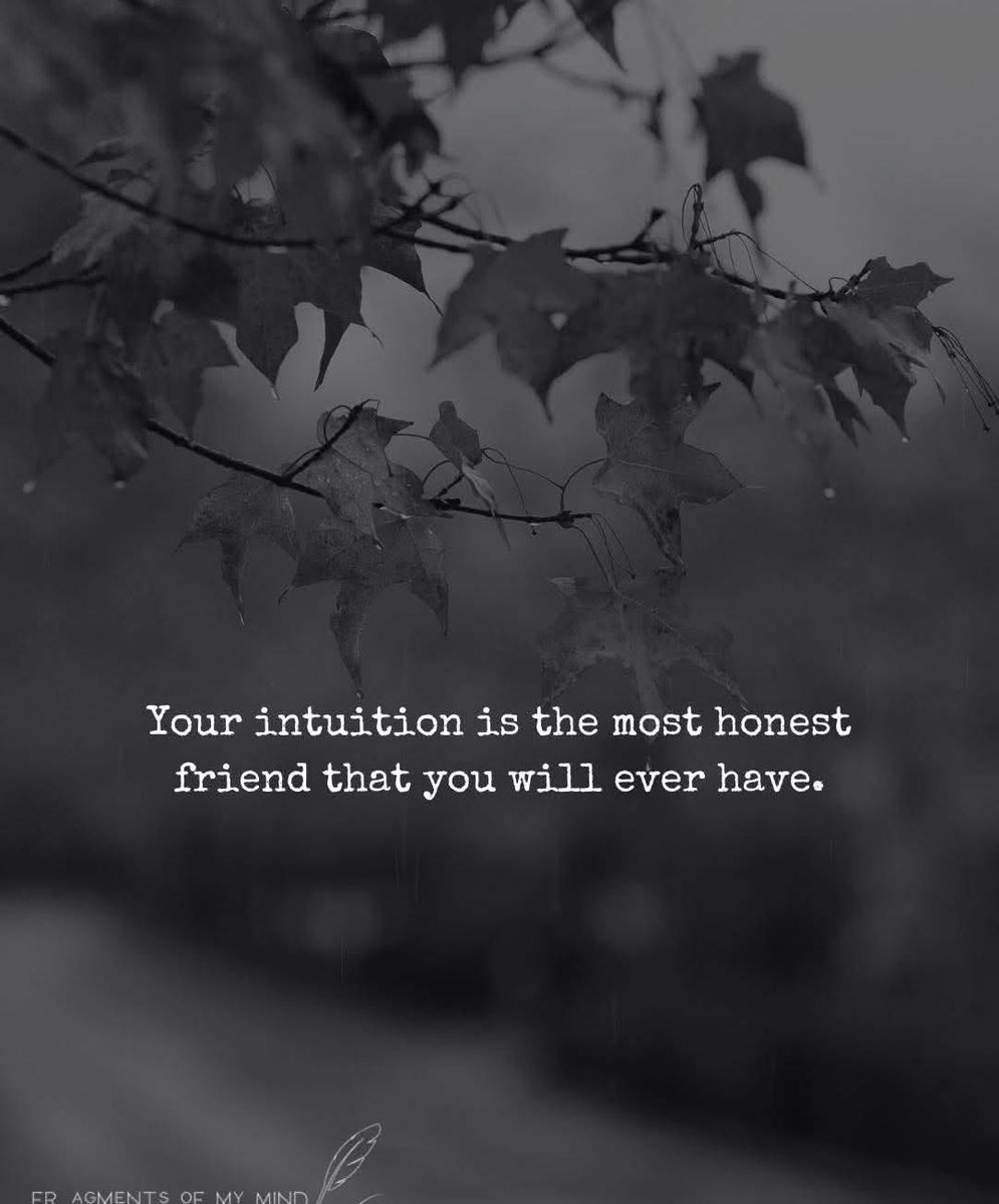 Kylie Riordan (@mindfulheal) on Twitter photo 