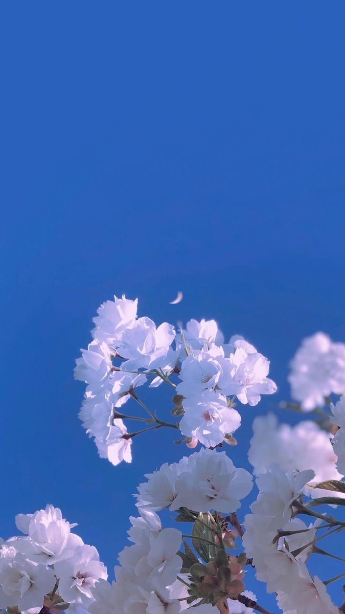 kiwiairene's tweet photo. https://t.co/SpWsSIBLOP