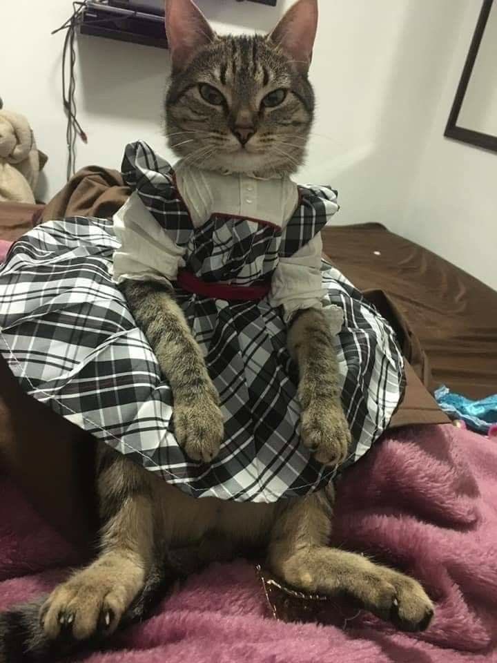 "Maybe not today, maybe not tomorrow, but one day soon I will shit on everything you love, Helen"