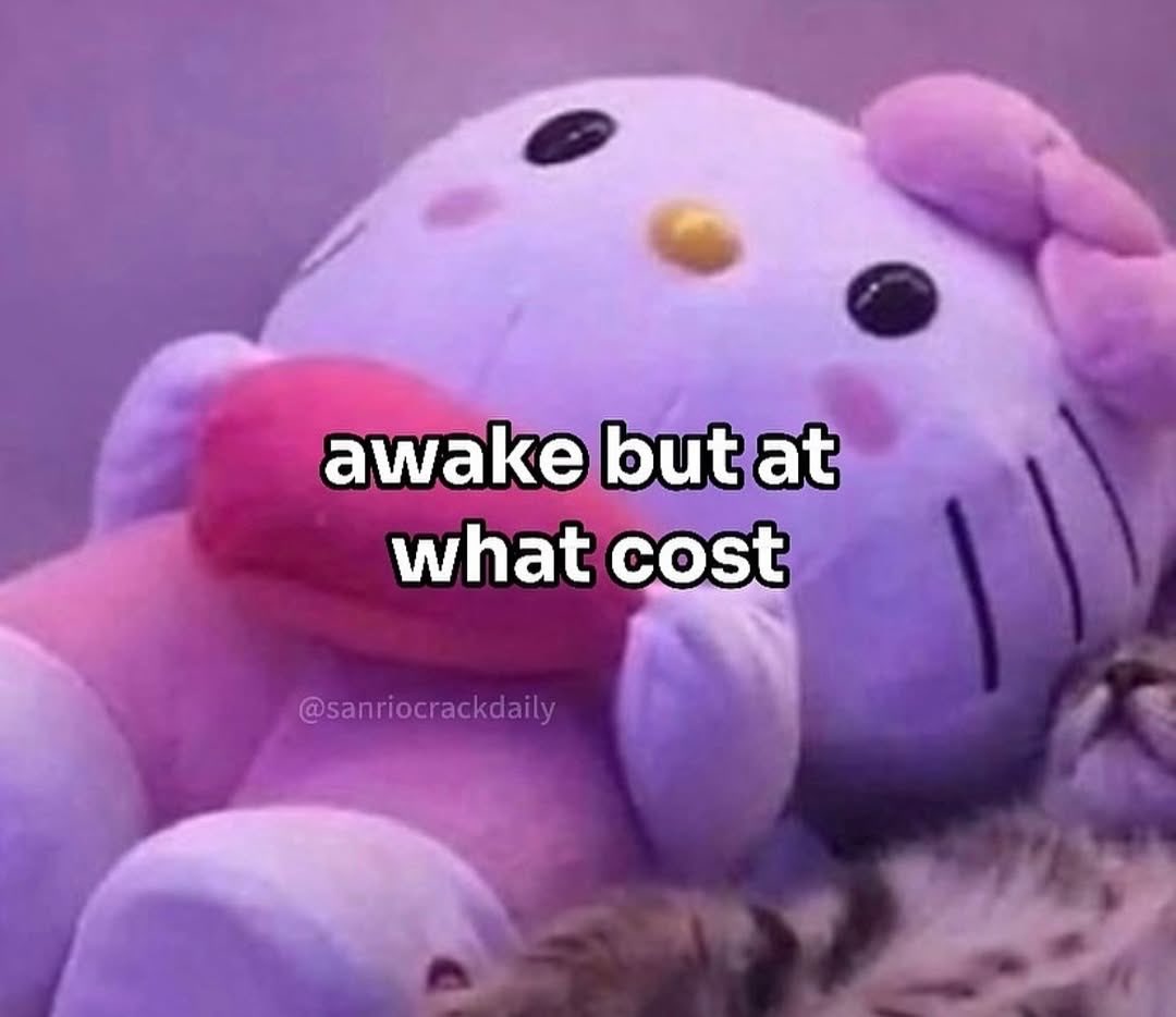 KWO 고양이 코인 밈