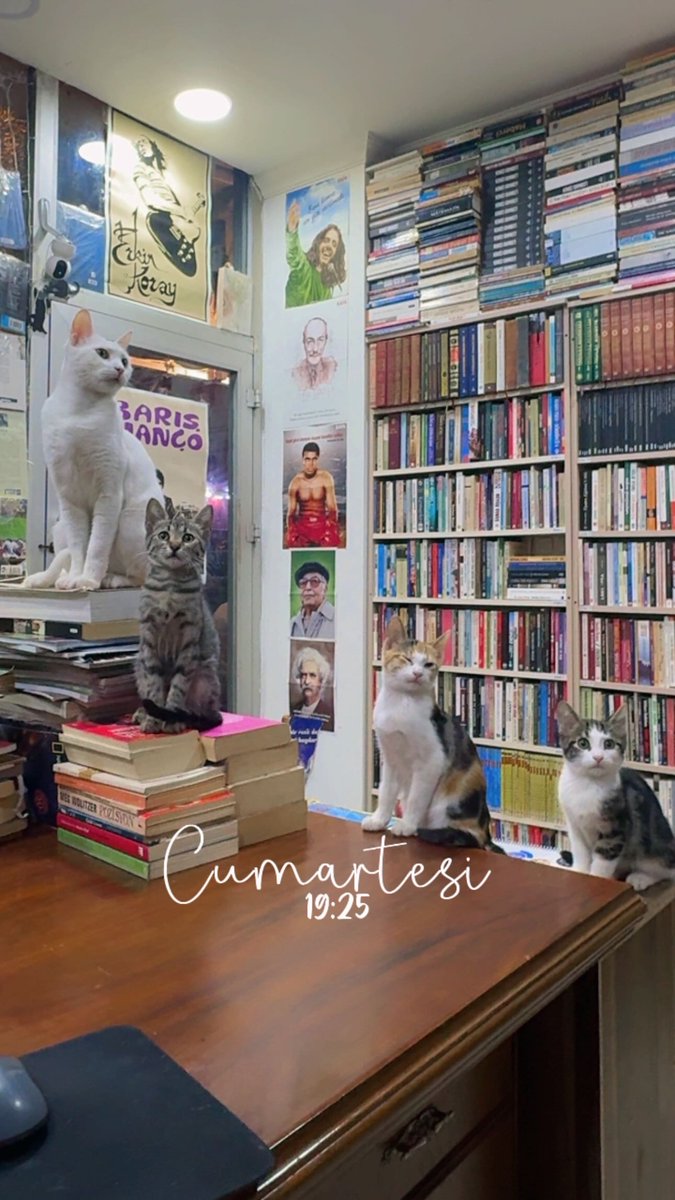 Hepsine yuva arıyorum.
Lütfen yuva bulmama yardım edin.