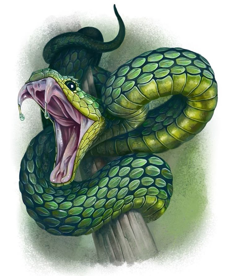 ML3TheSnakeJung's tweet photo. —ᣞ☆𝐹𝑖𝑗𝑎𝑑𝑜 𝖘𝖊𝖗𝖕𝖎𝖊𝖓𝖙𝖊✩ᣞ—
Hola Que Tal Soy un Jefes parte #AlianzaML3 y me llamó Spirit jefe #ML3TheSnakeJungle mitad serpiente aquí hay

🌴↭sorpresas
🖤↭diversión
🐍↭veneno y muerte
🦎↭incluso mucho más
🐍🖤↭Ven se un Miembro de #ML3TheSnakeJungle con un ♥️ https://t.co/bcc1hzGmRg