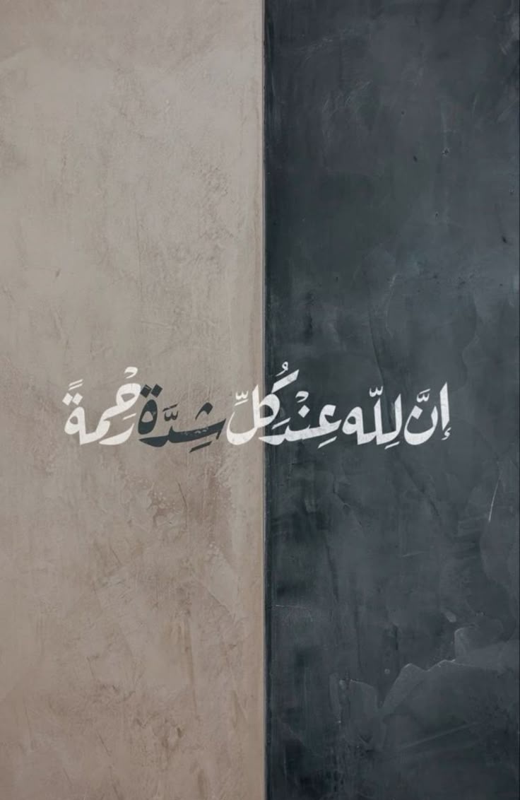 a09n44's tweet image. #المدينة_المنورة