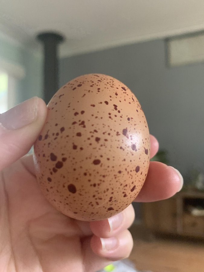 Here's Nota Baloyi's sister