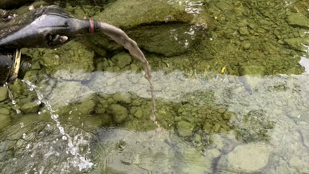 MilHiVisualized's tweet image. Operation Ice Perch was a success.
Only 1-2 perch, 1 pike, a lot of cray fish. Due to head mount the only good shots so far are from the trash I picked up.
I think that bottle is out of production for decades.
