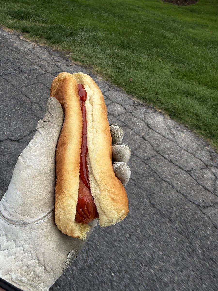 greg16676935420's tweet image. Beautiful day for glizzies and golf