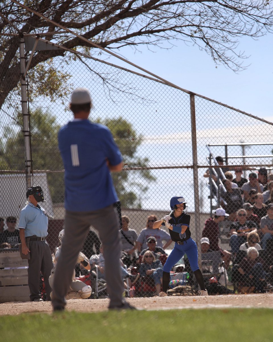 Simon Wiedel tweet media