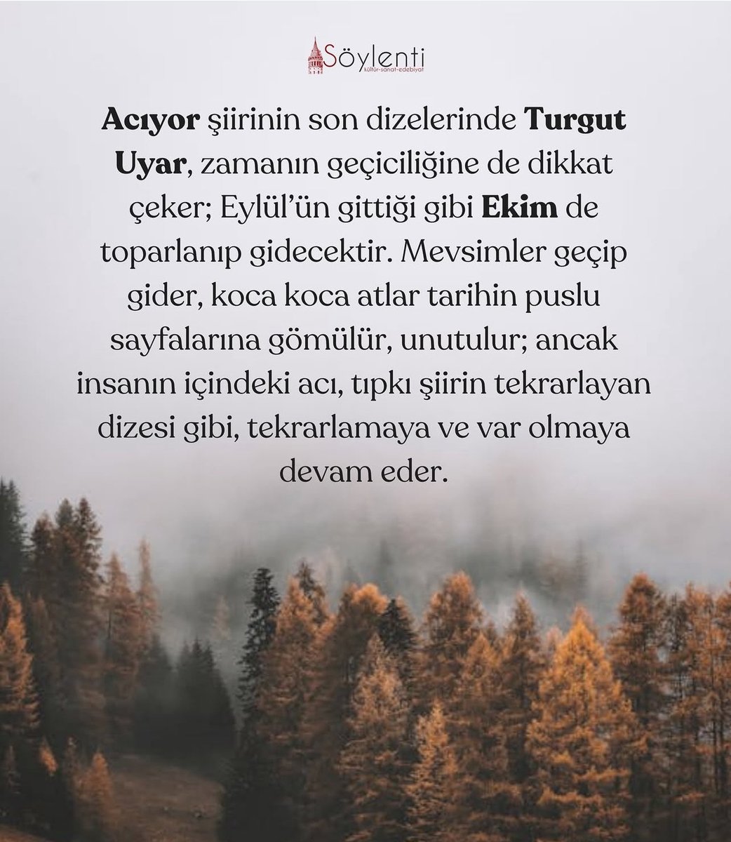 “Eylül toparlandı gitti işte
Ekim falan da gider bu gidişle
Tarihe gömülen koca koca atlar
Tarihe gömülür o kadar…”
Der Turgut abi…