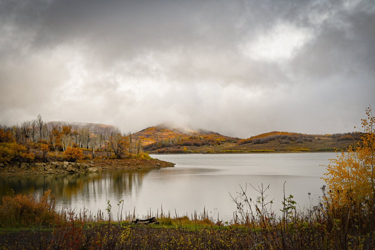 db_persoectives's tweet image. Fall has dazzled today.