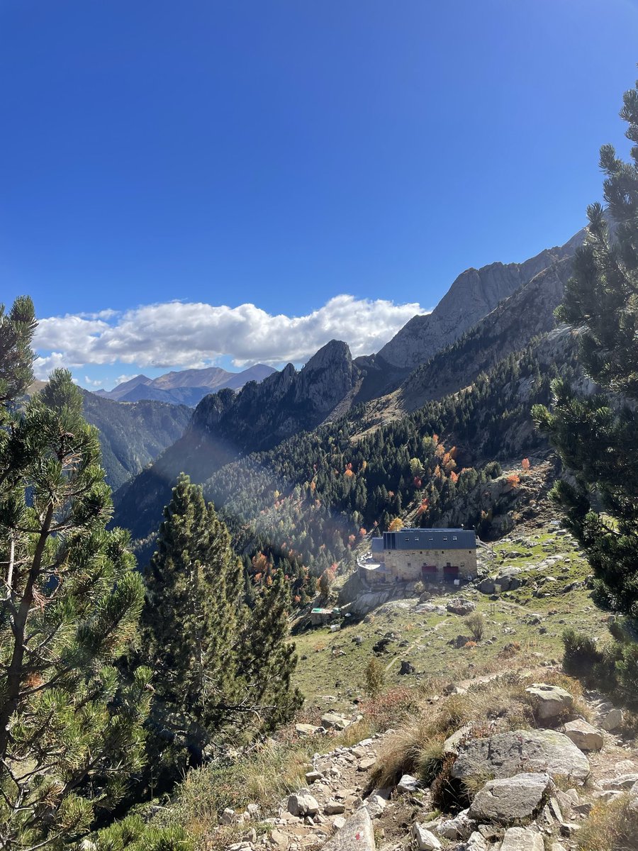 CarlaGans's tweet photo. Tardor🍁🍂⛰️ https://t.co/XYMzRrLPyn
