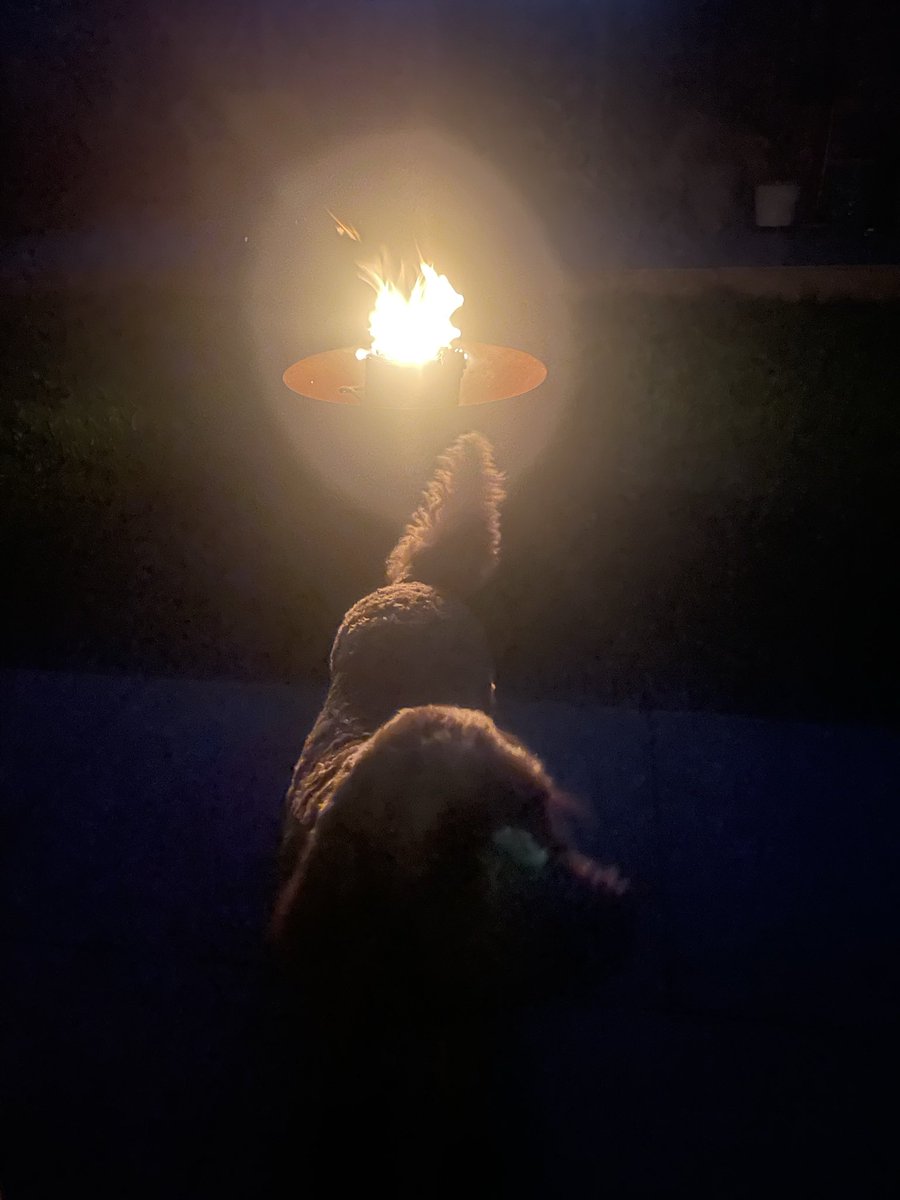 BrendivaCP's tweet image. #October2025 first ever garden fire!🔥 Cosy!