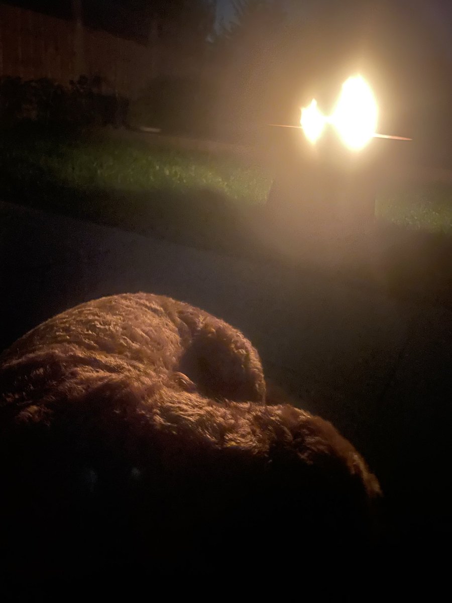 BrendivaCP's tweet image. #October2025 first ever garden fire!🔥 Cosy!