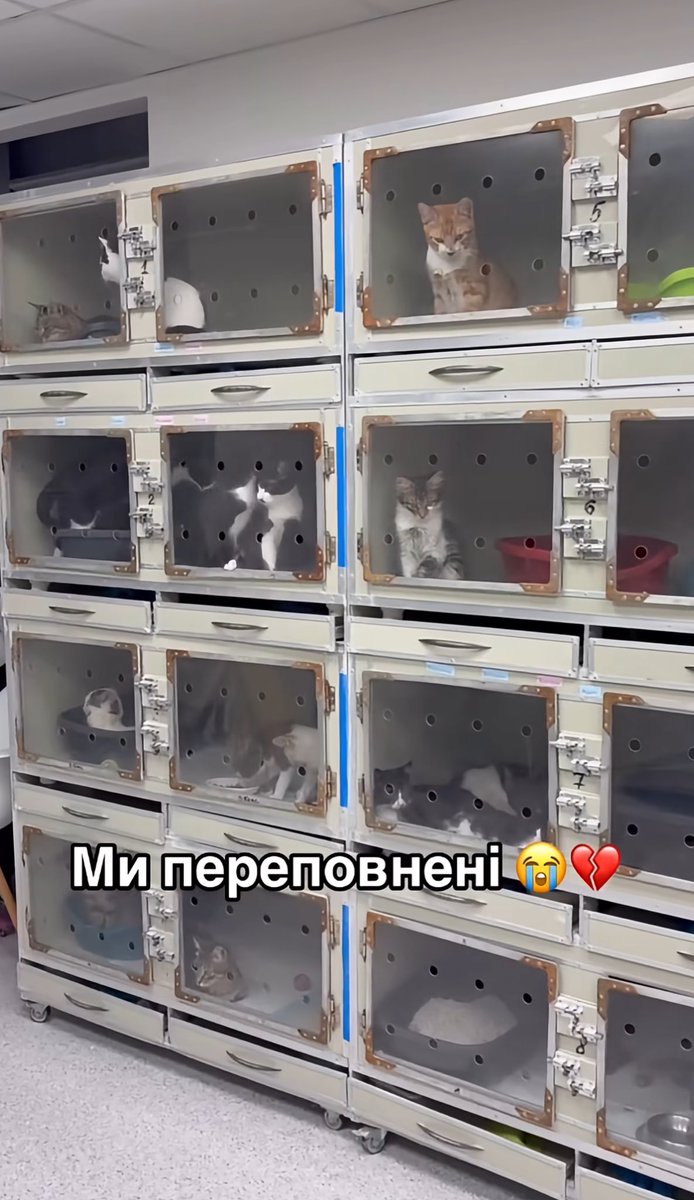 як умру, то пох tweet media