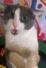 I wanna meet the mf who said he crossing the arms like gagnam style