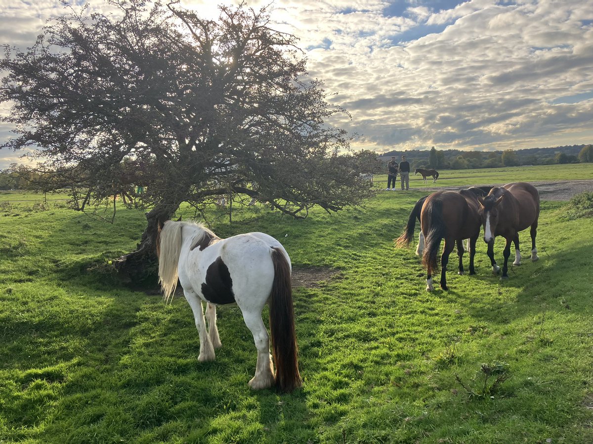 mhauser_author's tweet image. 