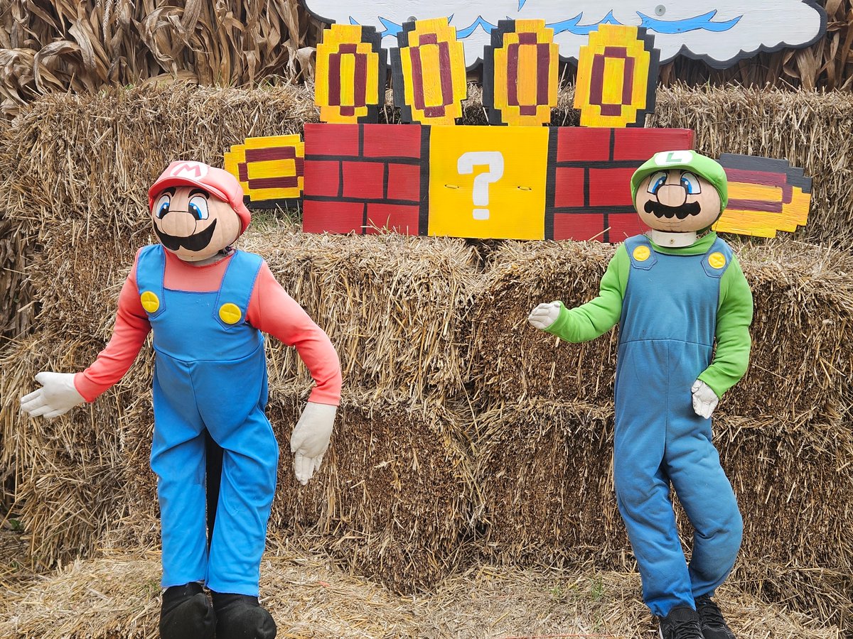 This Mario live action looks weird. 

Went to a pumpkin farm with friends and had a lot of fun. Havent been in ages. Yall have any fun fall or spooptober plans?