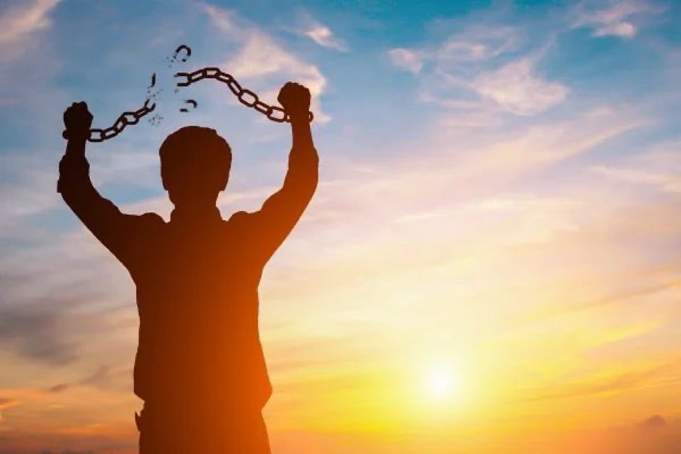 BoringBiz_'s tweet image. How life feels when you finally leave investment banking
