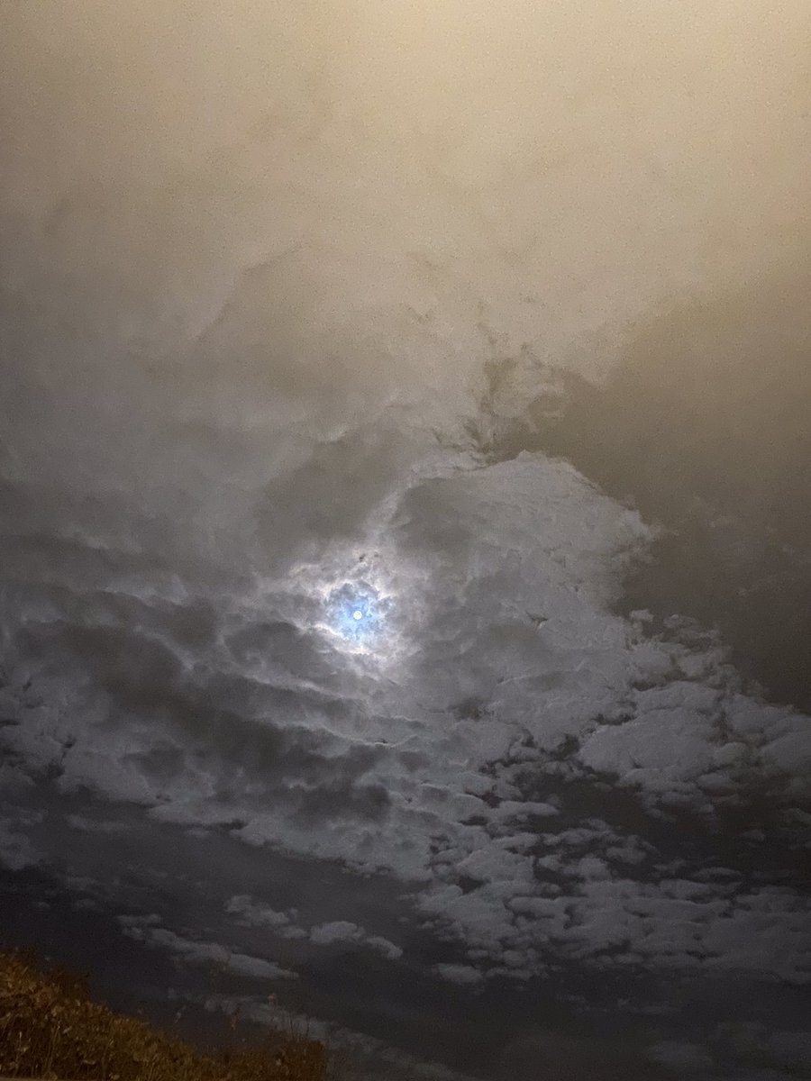 Brendan Hynes tweet media