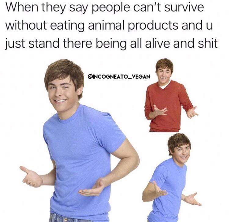 When does the not surviving kick in? 😅