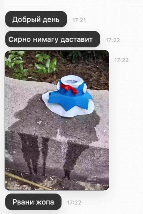 MaximFabiev's tweet image. #meme #Memes #shitpost #touhouproject #cirno #fumo #Fumofumo