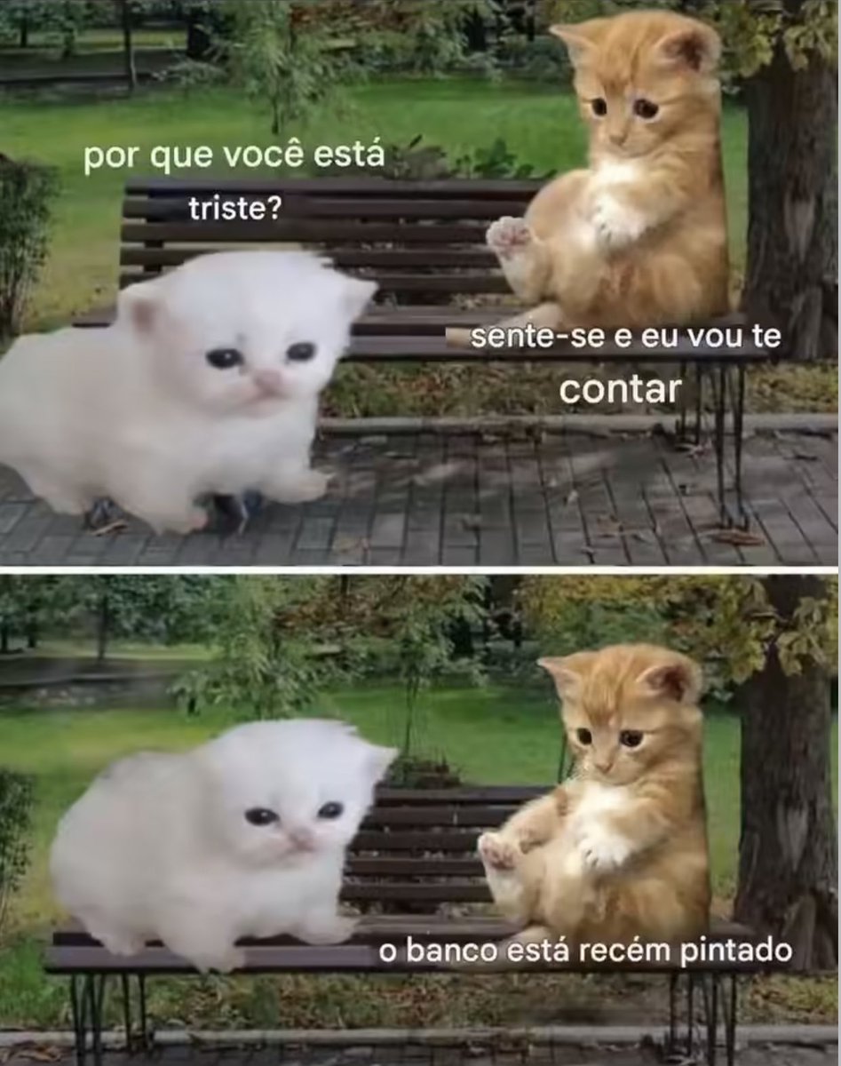 gatinarios's tweet image. 