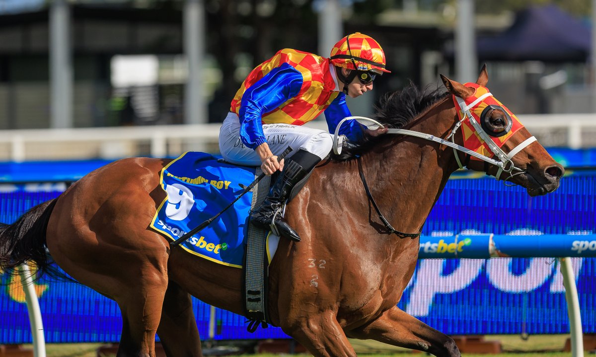 paomaphotos's tweet image. Damian Lane and Chris Waller combined to win the Caulfield Guineas with Autumn Boy (The Autumn Sun 🇦🇺 x Rosegarden 🇳🇿). #HorseRacing