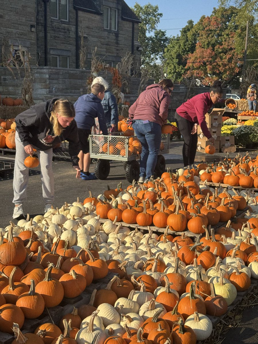 mav_softball's tweet image. Huge shoutout to 3 of our softball girls, 2 coaches, and a softball dad who volunteered this morning to help unload pumpkins at the Congress St. UMC Pumpkin Patch! ๐๐ช
Thank you for representing our team with hard work and heart! ๐ฅโค๏ธ
#CommunityStrong #TeamWork #PumpkinPatch
